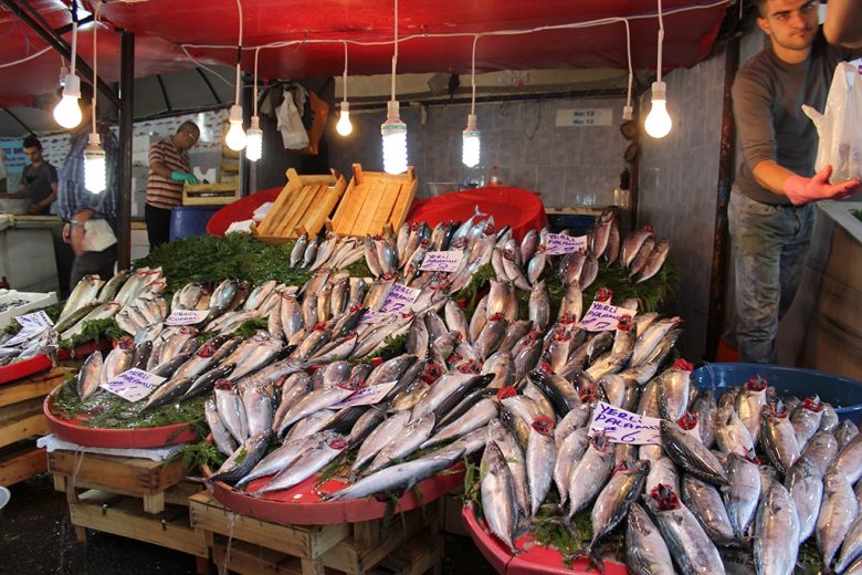 FISH MARKET