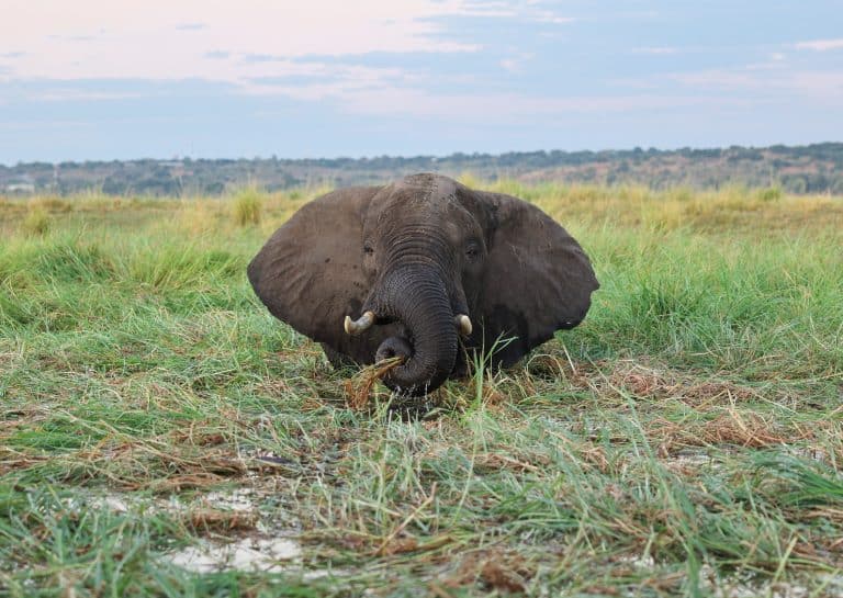 Botswana