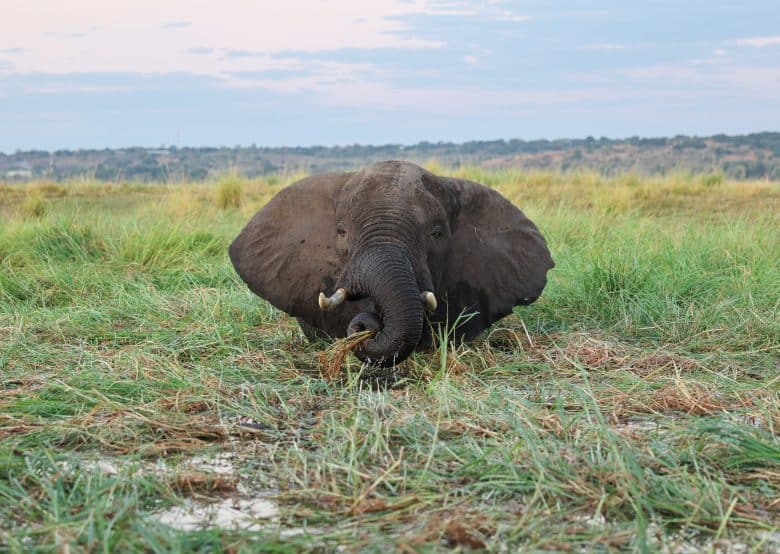 Botswana