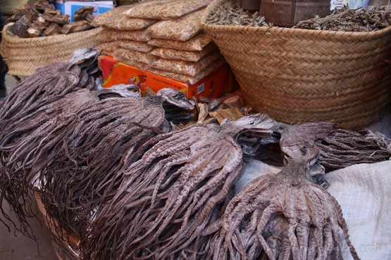 sun dried octopuses