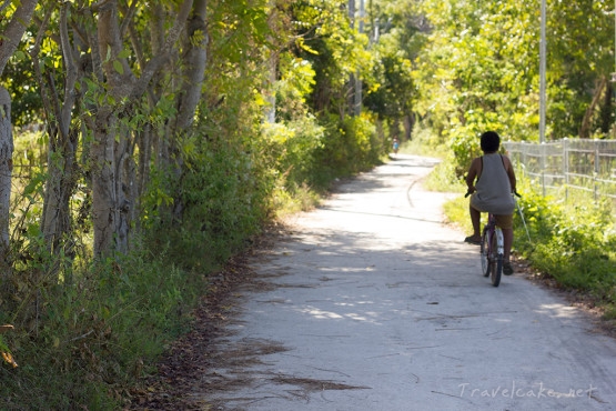 bicyling around the island