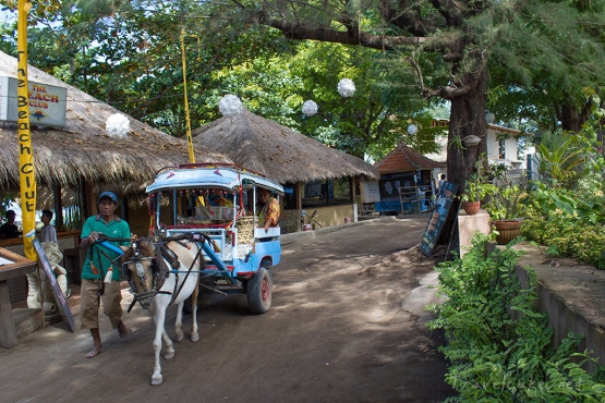 horse drawn carriage replace cars and scooters