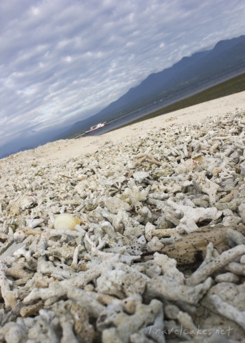 sharp dead coral beach