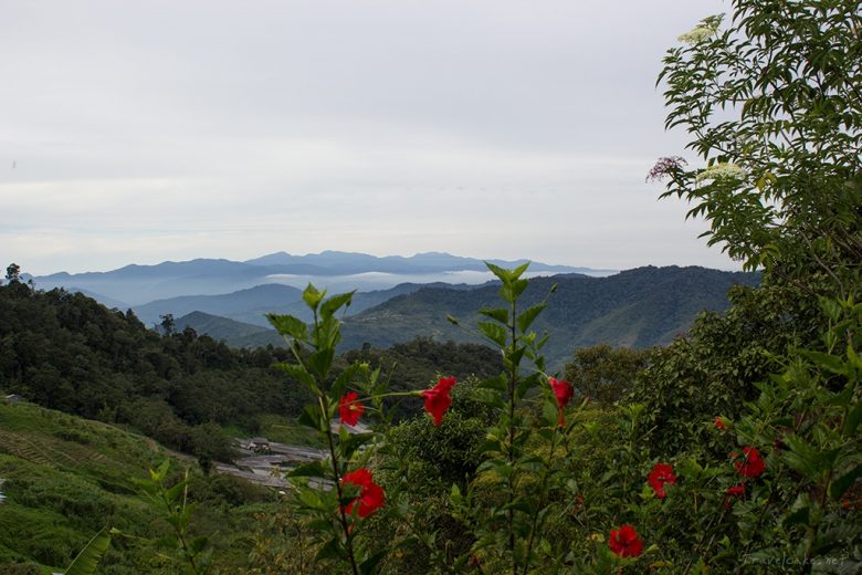 Kinabalu park