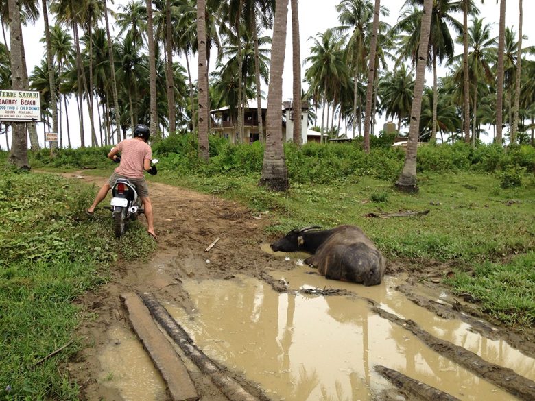 driving Palawan, Philippines