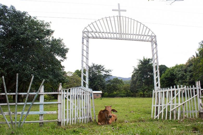 country side gate, Palawan, Philippines