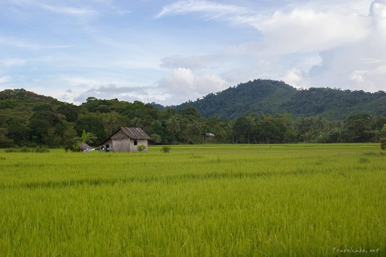  house in rice fields, Palawan, Philippines