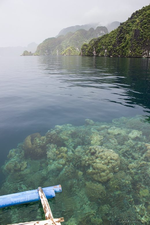 snorkel, Palawan, Philippines