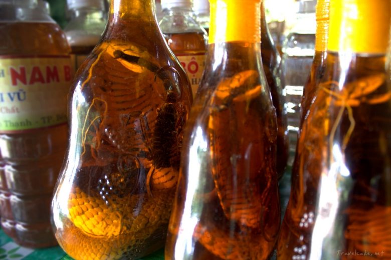 snake cobra infused liquor