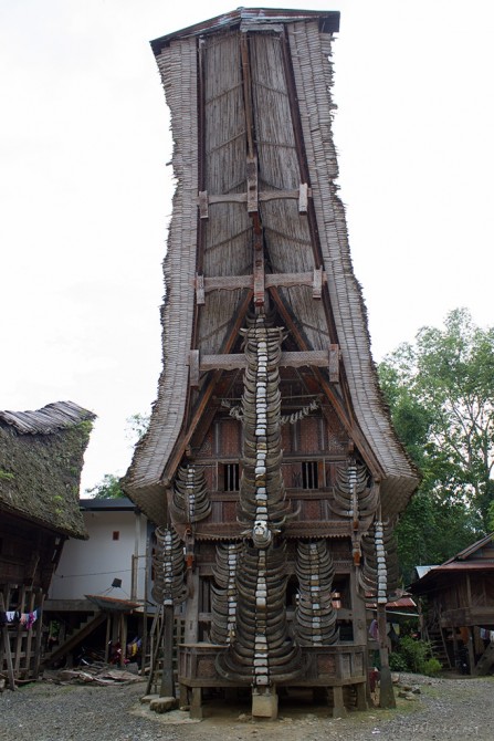 tongkonan, toraja house, Sulawesi