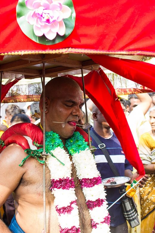 Thaipusam, Malaysia