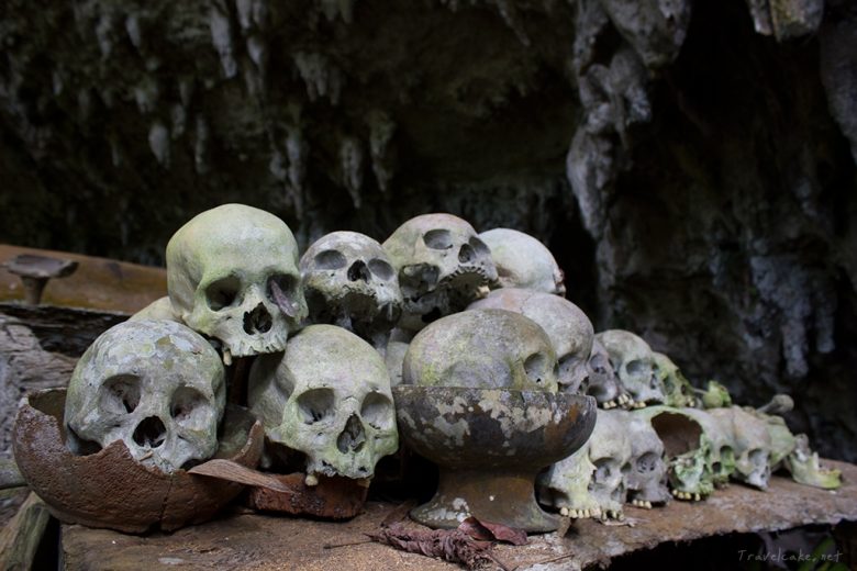 century old skulls, Sulawesi