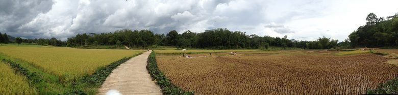 on a motorbike, Sulawesi