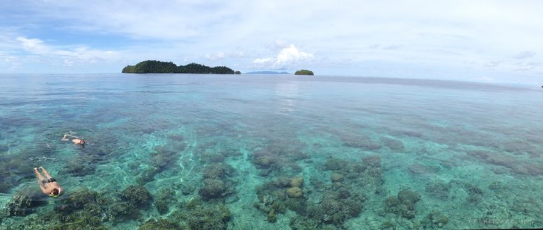 snorkelling togean, Sulawesi