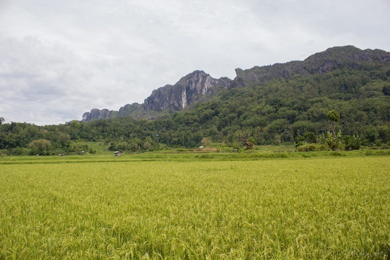 Tana Toraja, Sulawesi