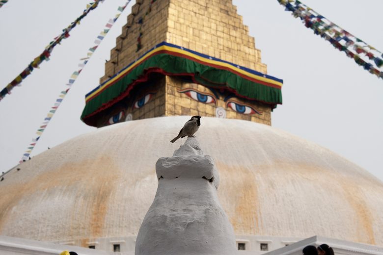 Boudhanath in Kathmandu, Nepal