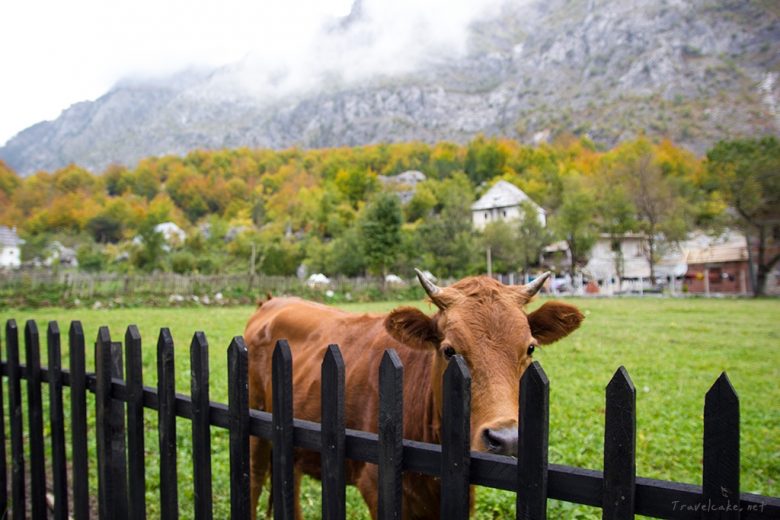 Valbona