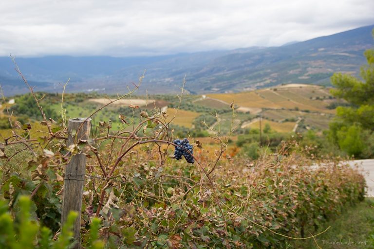 CORITH GREECE wine tasting vineyards SemÃ©li