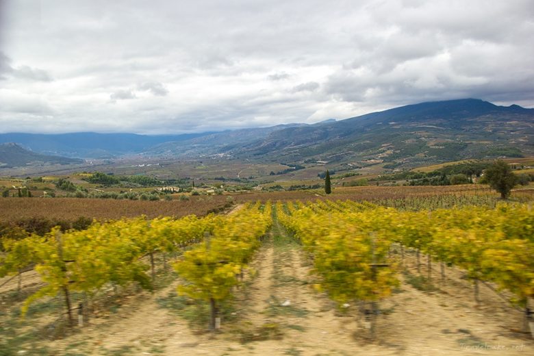 CORITH GREECE wine tasting vineyards Seméli