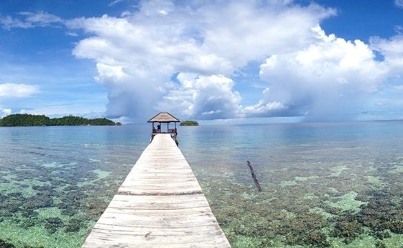 Togean islands, Sulawesi