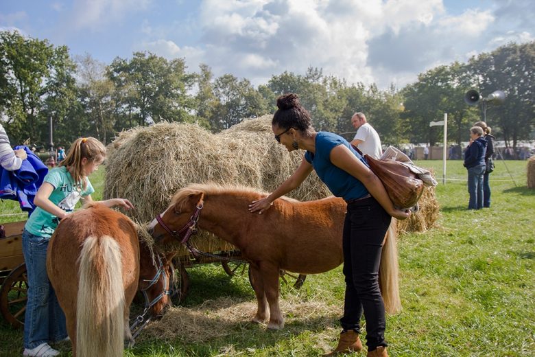 never realised a pony was so small