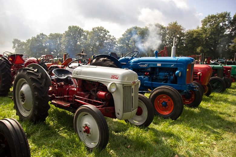 Friesland traditional