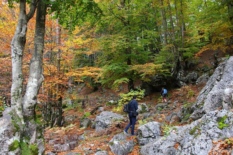 Valbona Albania