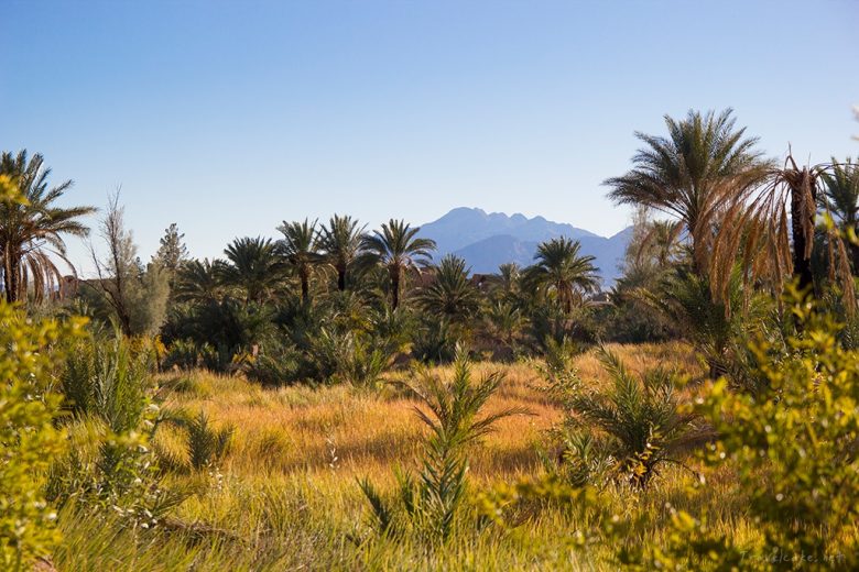 Garmeh, desert oasis, Iran