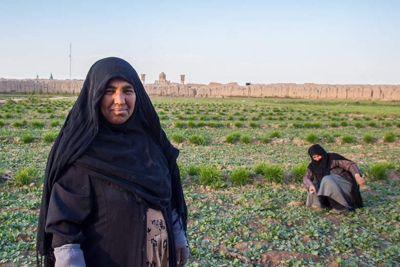 women working Iran, farming