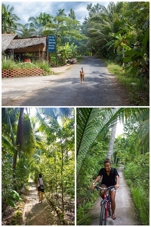 getting lost around the Mekong (click to enlarge)