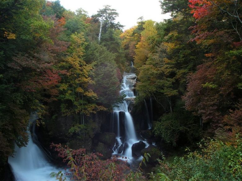 woodlands and waterfalls (source)