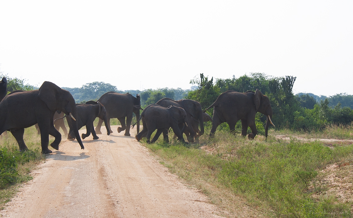 Backpacking Uganda in Photo’s