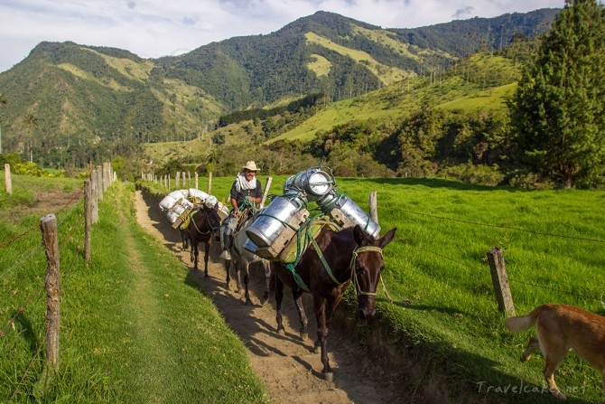 farmer on his wat to his finca