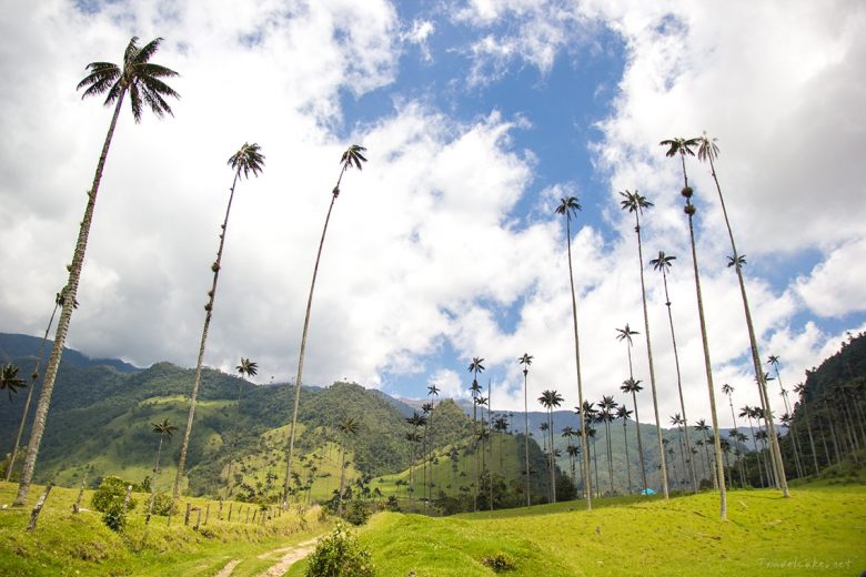 Cocora valley, Colombia