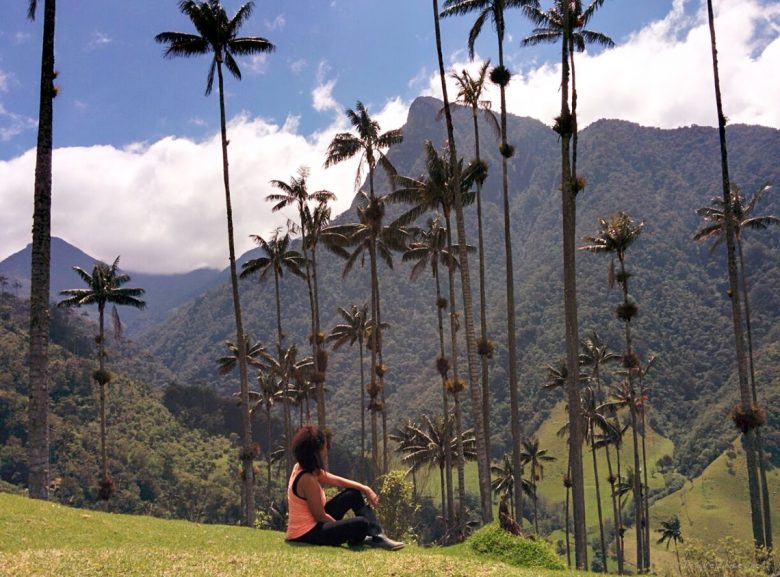 Cocora valley, Colombia