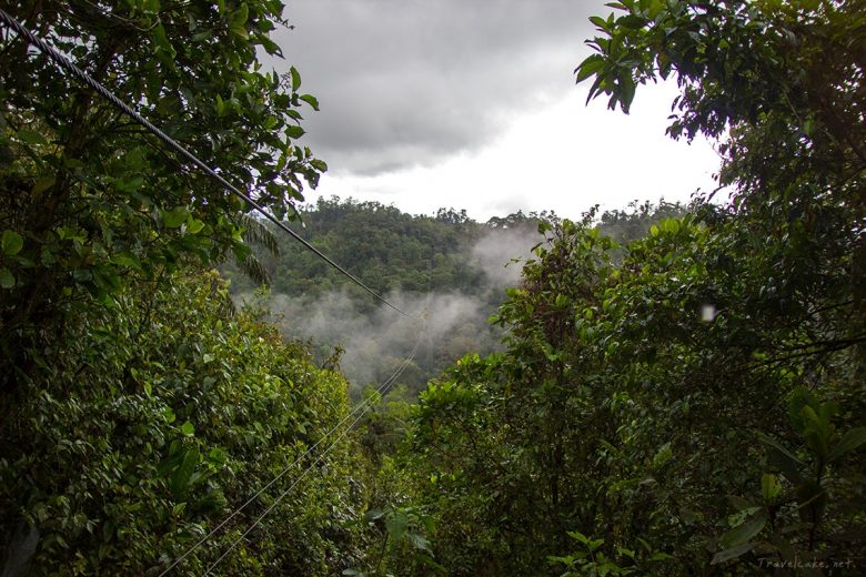 cloud forest, Mindo Ecuador
