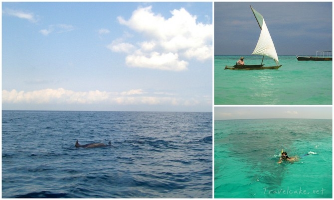 We spotted some dolphins near the wooden fishing boat we were sailing on. I tried to capture them on photo but it was so much more fun to jump in and swim along with them. 