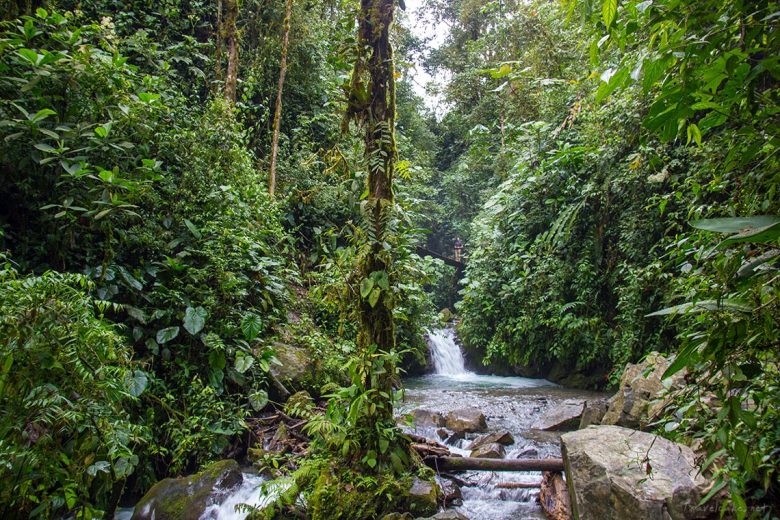 waterfall, Mindo, Ecuador
