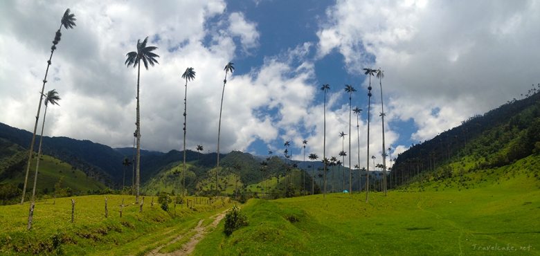 cocora valley, hiking, colombia