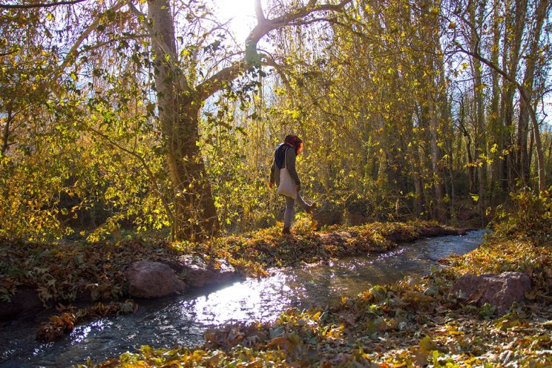 Iran autmn fall, Abbynayeh