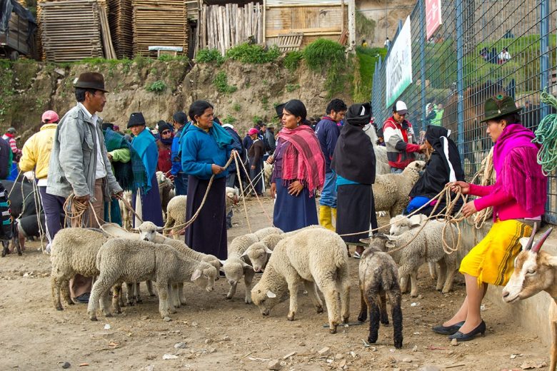 Otavalo, animal market, Ecuador