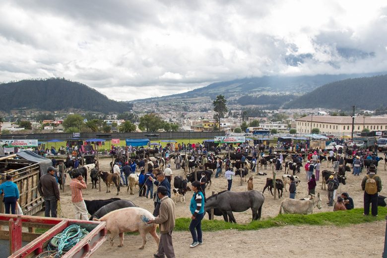 Otavalo, animal market, Ecuador