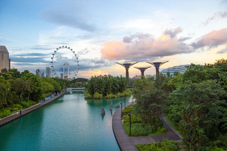 Singapore skyline, gardens by the bay