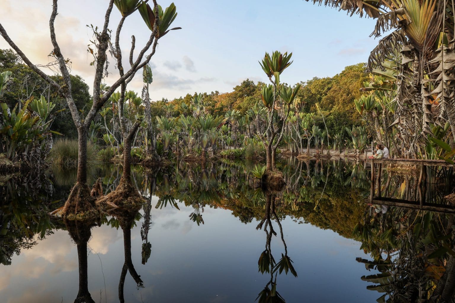 Pangean Swamp